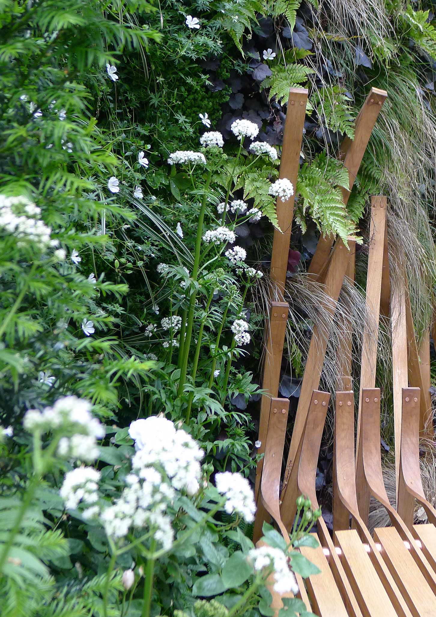 Valerian Officinalis in the Embroidered Minds Epilepsy Garden